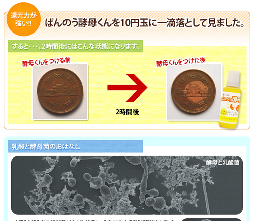 ばんのう酵母くんを１０円玉に落としてみました。