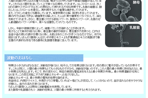 波動のおはなし